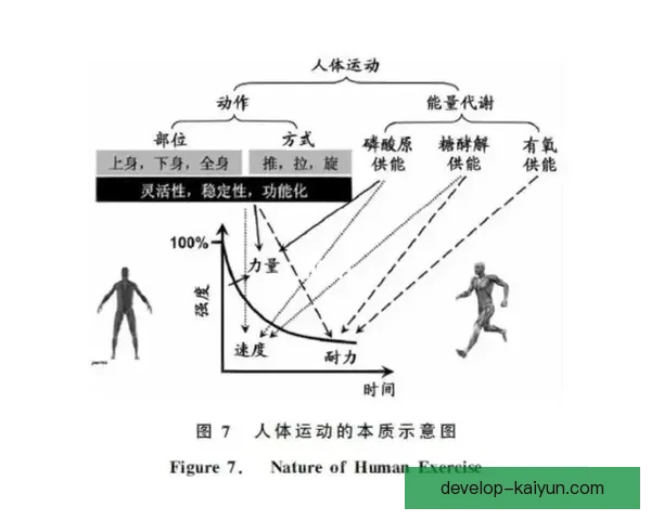 体育技术创新与运动表现提升的综合分析研究与应用探索